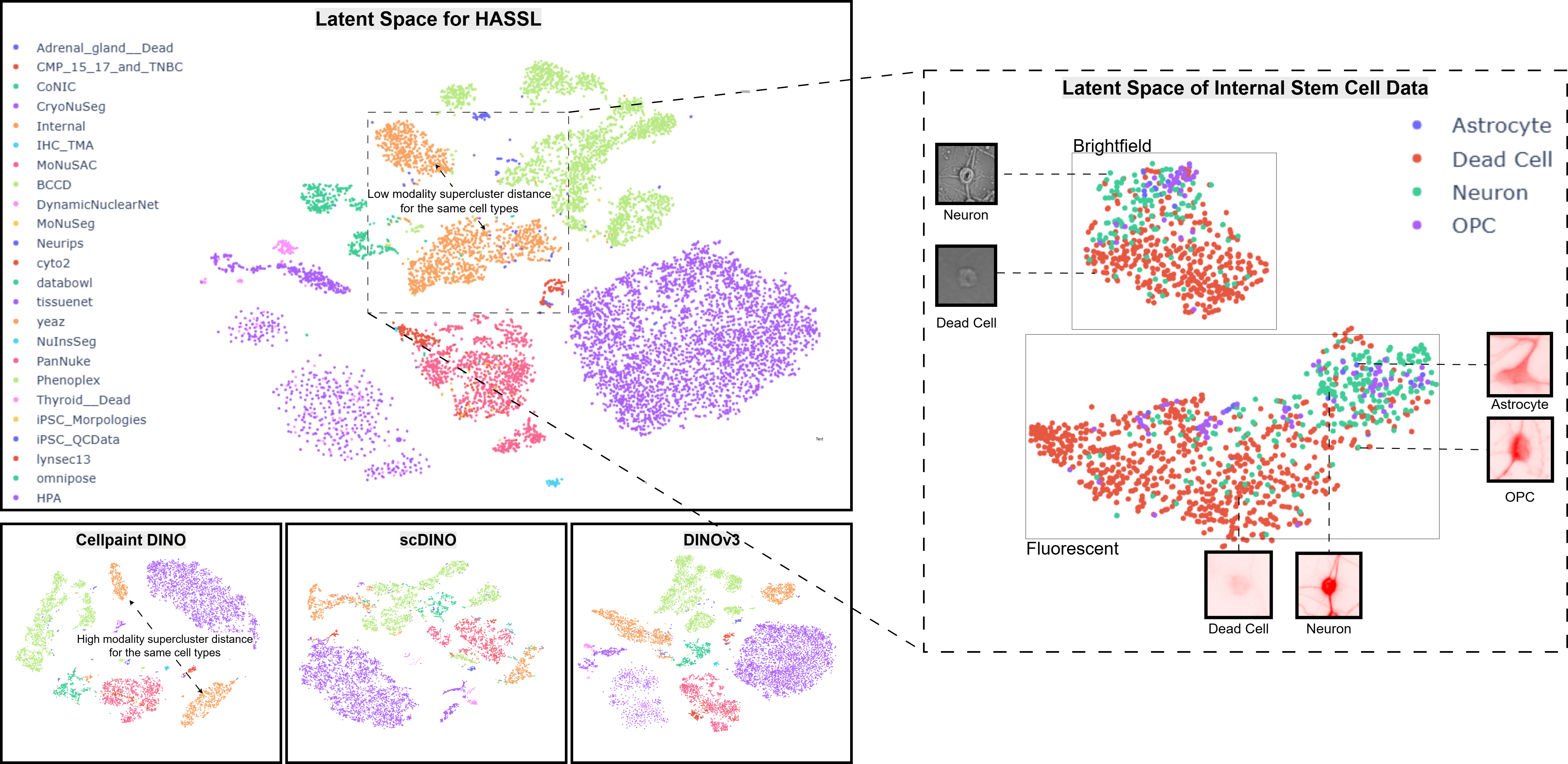 t-SNE latent space visualization