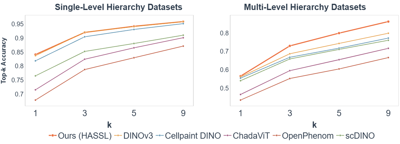 Top-k retrieval on flat vs deep hierarchy datasets